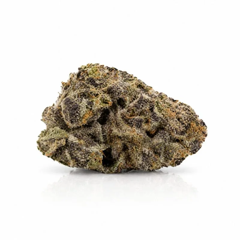 Purple Zoap, Ansicht 2